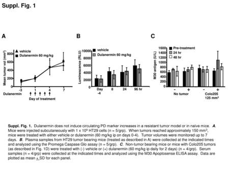 Suppl. Fig. 1 A B C 200 400 600 800 1000 1200 1400 1600 No tumor - +