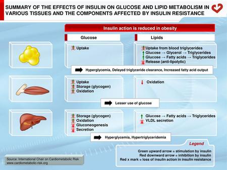 Insulin action is reduced in obesity