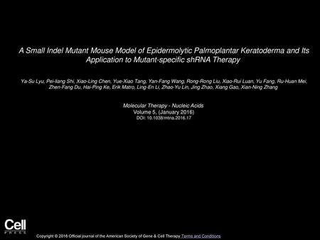 Molecular Therapy - Nucleic Acids