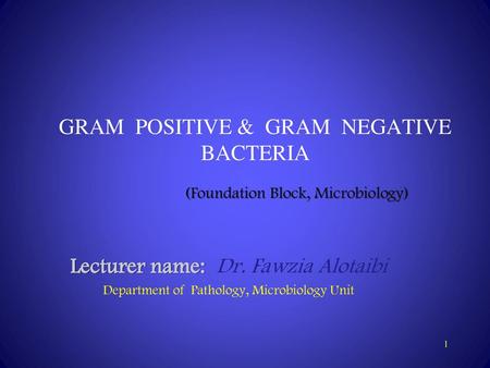 GRAM POSITIVE & GRAM NEGATIVE BACTERIA