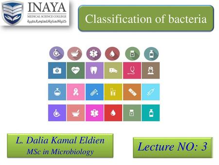 Classification of bacteria