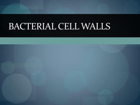 Bacterial Cell Walls.