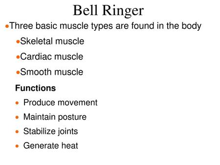 Bell Ringer Three basic muscle types are found in the body