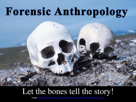 Forensic Anthropology