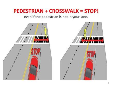 PEDESTRIAN + CROSSWALK = STOP!