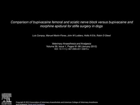 Comparison of bupivacaine femoral and sciatic nerve block versus bupivacaine and morphine epidural for stifle surgery in dogs  Luis Campoy, Manuel Martin-Flores,