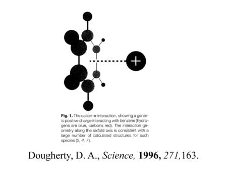 Dougherty, D. A., Science, 1996, 271,163..