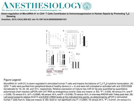 Down-regulation of MicroRNA-31 in CD4+ T Cells Contributes to Immunosuppression in Human Sepsis by Promoting TH2 Skewing Anesthes. 2016;124(4):908-922.