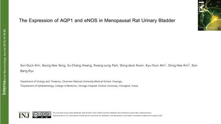 International Neurourology Journal 2010;14:78-85