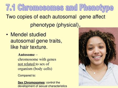 7.1 Chromosomes and Phenotype