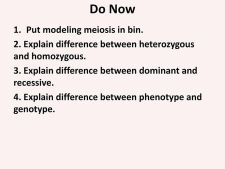 Do Now Put modeling meiosis in bin.