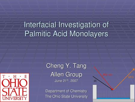 Interfacial Investigation of Palmitic Acid Monolayers