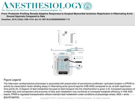 From: Proteomic Profiling Reveals Adaptive Responses to Surgical Myocardial Ischemia–Reperfusion in Hibernating Arctic Ground Squirrels Compared to Rats.