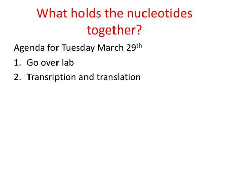 What holds the nucleotides together?