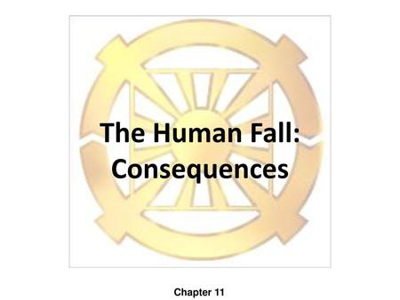 The Human Fall: Consequences