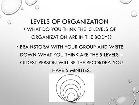 Levels of Organization