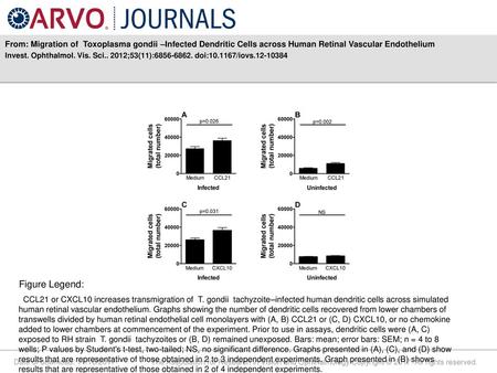 From: Migration of Toxoplasma gondii –Infected Dendritic Cells across Human Retinal Vascular Endothelium Invest. Ophthalmol. Vis. Sci.. 2012;53(11):6856-6862.