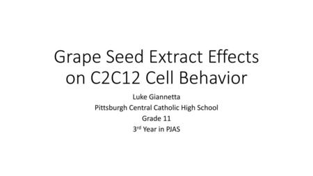 Grape Seed Extract Effects on C2C12 Cell Behavior