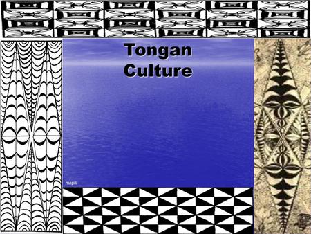 Tongan Culture mapili.