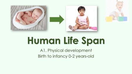 A1. Physical development Birth to infancy 0-2 years-old