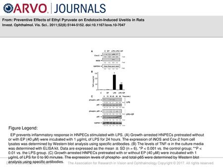 Invest. Ophthalmol. Vis. Sci ;52(8): doi: /iovs Figure Legend: