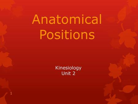 Anatomical Positions Kinesiology Unit 2.