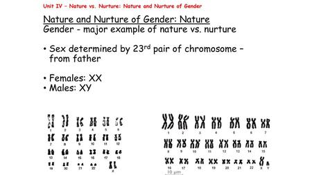 Unit IV – Nature vs. Nurture: Nature and Nurture of Gender