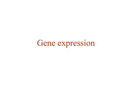 Gene expression.