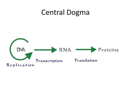 Central Dogma.