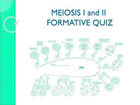 MEIOSIS I and II FORMATIVE QUIZ