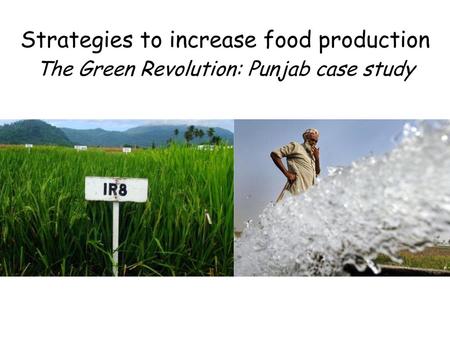 Strategies to increase food production