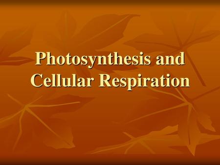 Photosynthesis and Cellular Respiration