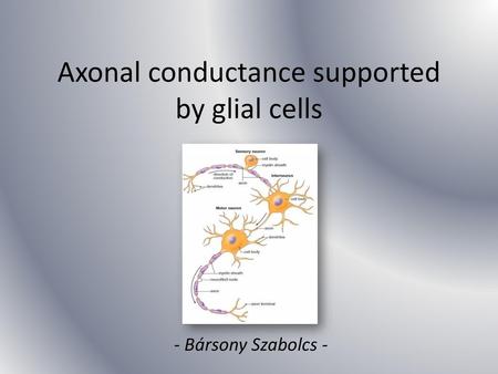 Axonal conductance supported by glial cells