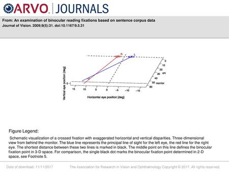 Journal of Vision. 2009;9(5):31. doi: /9.5.31 Figure Legend: