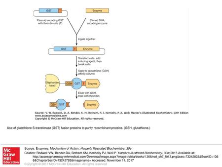 Use of glutathione S-transferase (GST) fusion proteins to purify recombinant proteins. (GSH, glutathione.) Source: Enzymes: Mechanism of Action, Harper's.