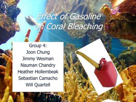 Effect of Gasoline on Coral Bleaching