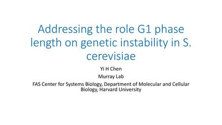 Addressing the role G1 phase length on genetic instability in S