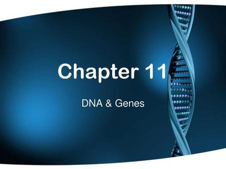 Chapter 11 DNA & Genes.