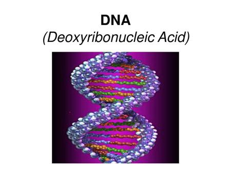 DNA (Deoxyribonucleic Acid)