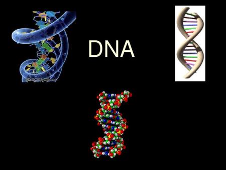 DNA.