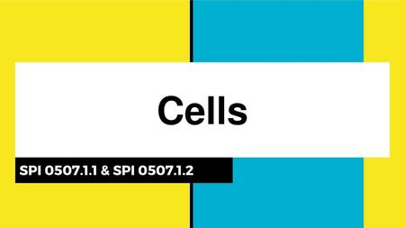 Cells SPI 0507.1.1 & SPI 0507.1.2 WOOF! WOOF! My name is Tiny, and I am the dog of the scientist Robert Hooke. Who is Hooke? He's the man who is credited.