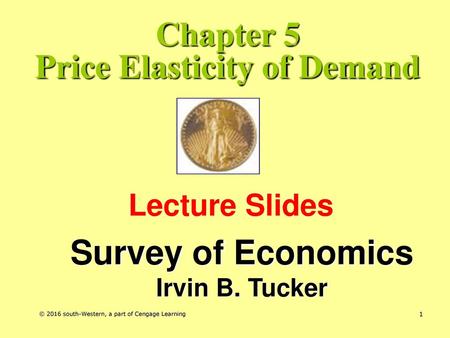 Chapter 5 Price Elasticity of Demand