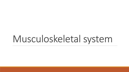 Musculoskeletal system