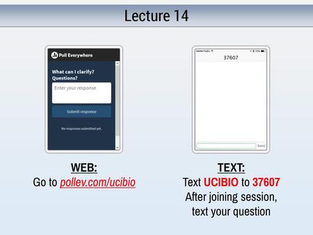 Lecture 14 WEB: Go to pollev.com/ucibio TEXT: Text UCIBIO to 37607