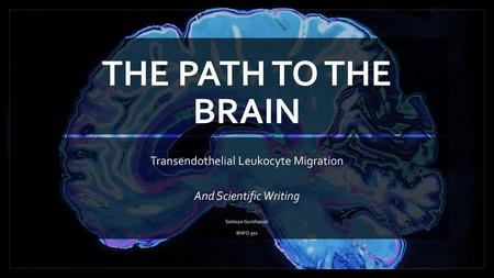 THE PATH TO THE BRAIN Transendothelial Leukocyte Migration