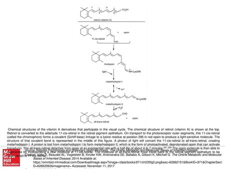 Chemical structures of the vitamin A derivatives that participate in the visual cycle. The chemical structure of retinol (vitamin A) is shown at the top.