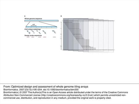 From: Optimized design and assessment of whole genome tiling arrays