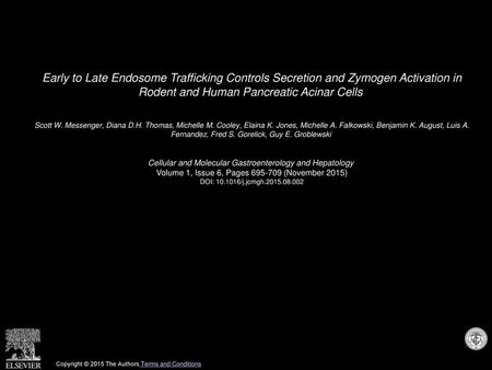 Early to Late Endosome Trafficking Controls Secretion and Zymogen Activation in Rodent and Human Pancreatic Acinar Cells  Scott W. Messenger, Diana D.H.