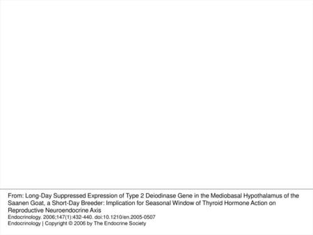 Fig. 6. Distribution of TRα (A) and TRβ (B) mRNA in the cARC of goat