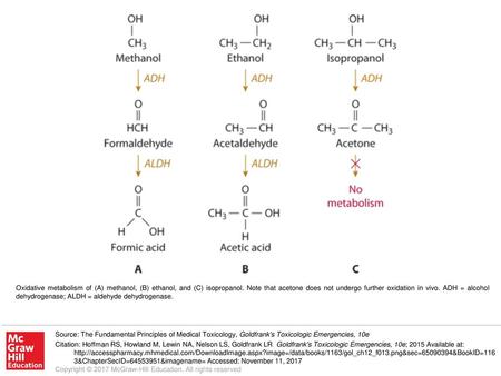 Oxidative metabolism of (A) methanol, (B) ethanol, and (C) isopropanol